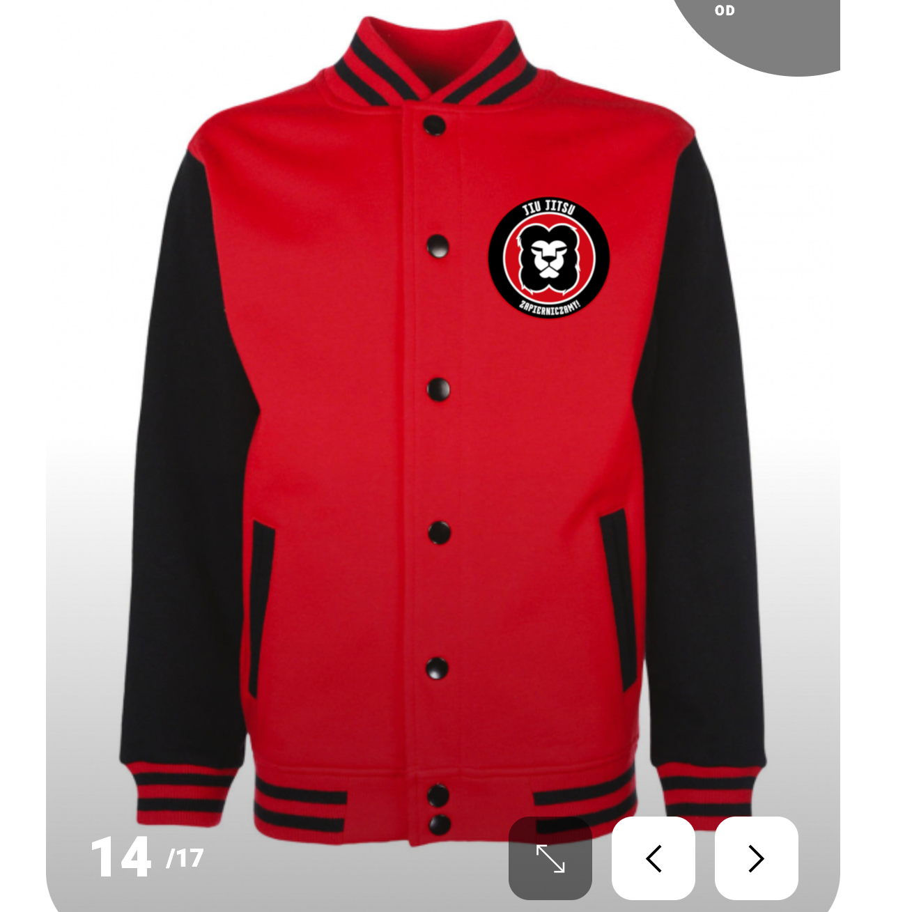 bluza